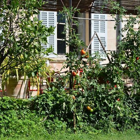 Les Passiflores Grasse Exteriör bild
