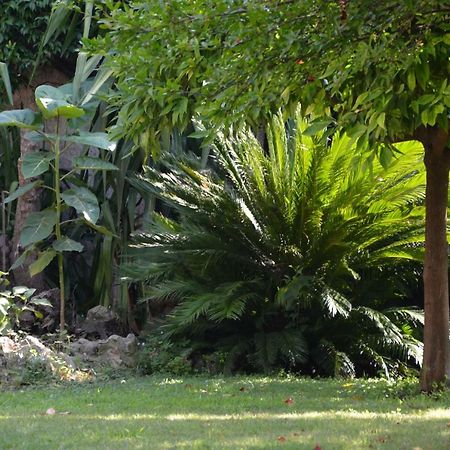 Les Passiflores Grasse Exteriör bild