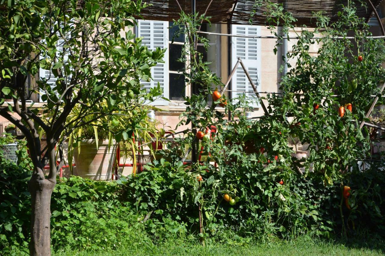 Les Passiflores Grasse Exteriör bild